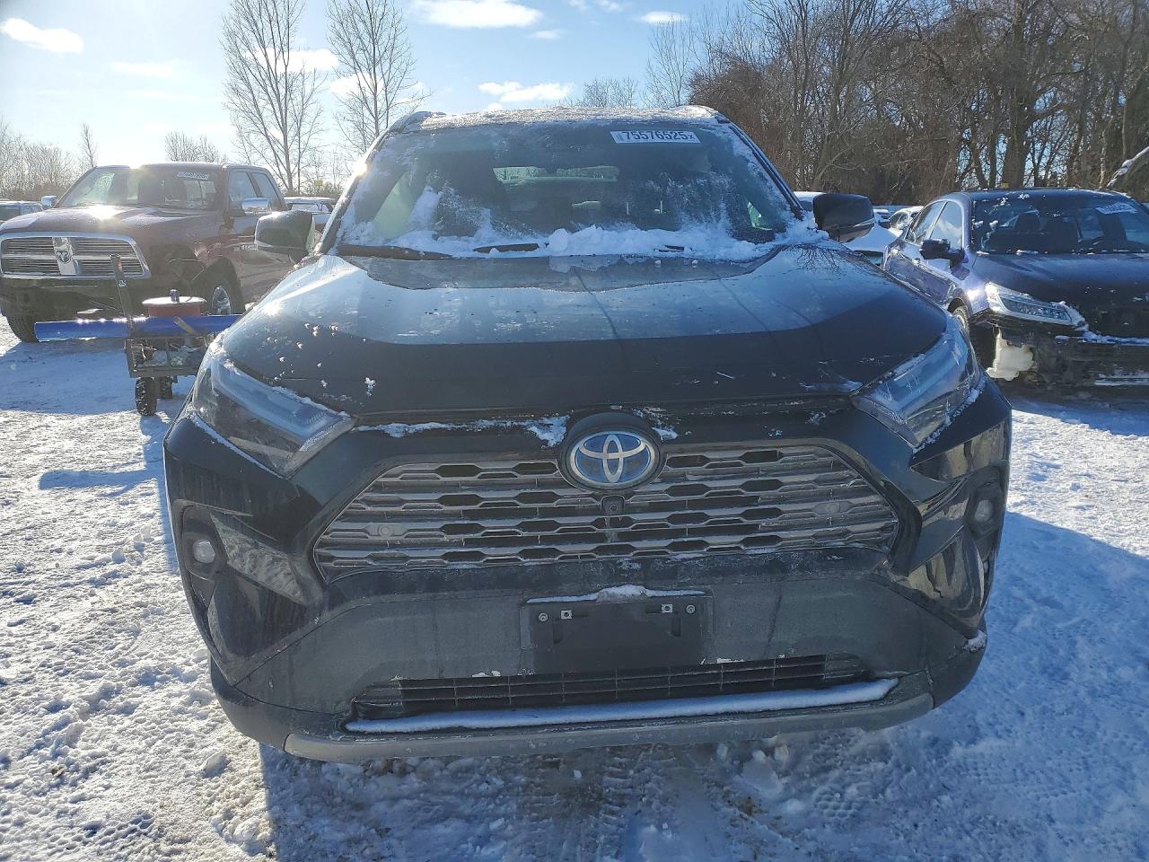 2024 TOYOTA RAV4 LIMITED photo 5