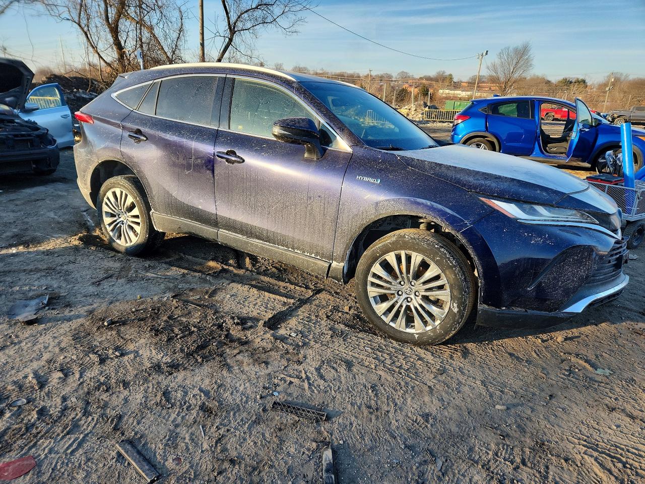 2021 TOYOTA VENZA LE photo 10