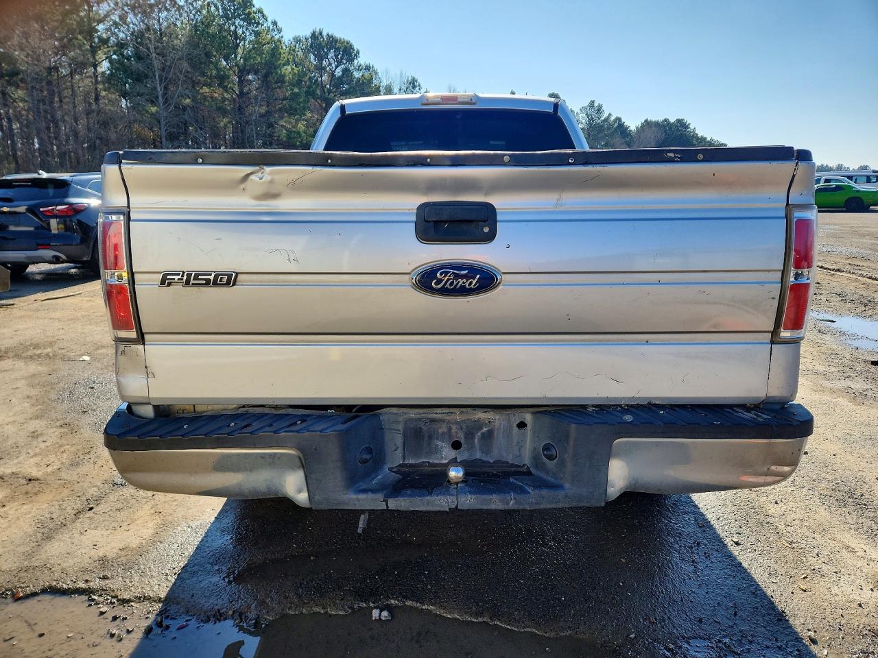 2010 FORD F150 photo 16