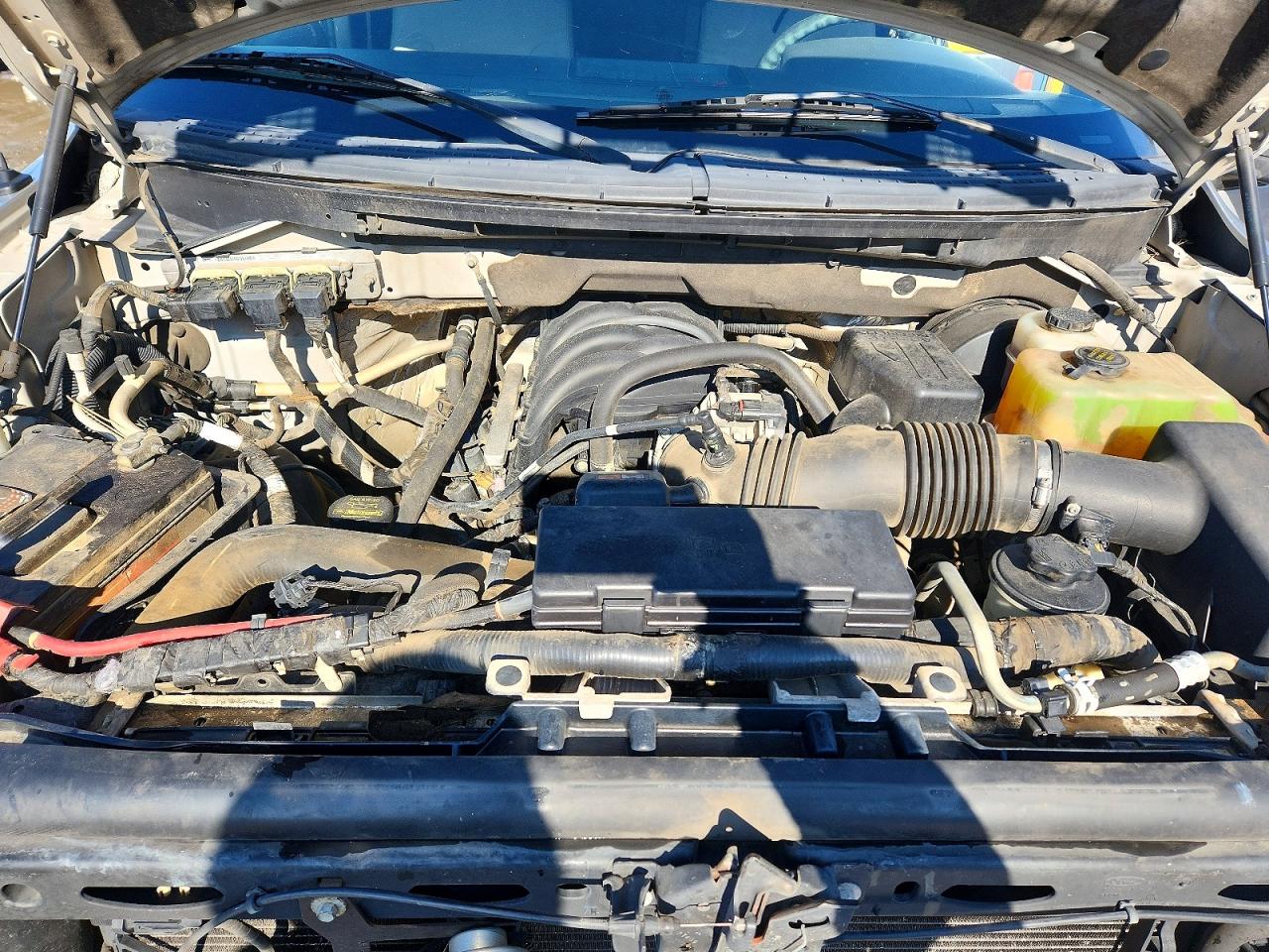2010 FORD F150 photo 31