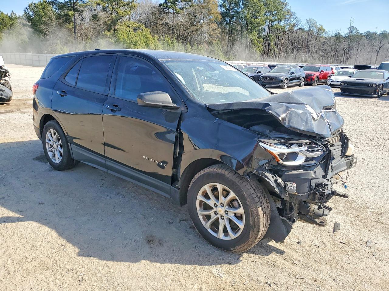 2018 CHEVROLET EQUINOX LS photo 10