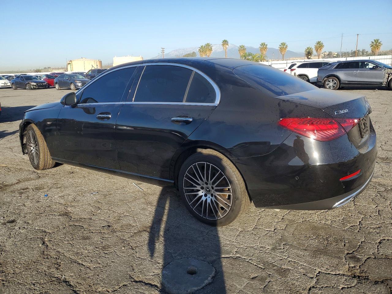 2025 MERCEDES-BENZ C 300 photo 2