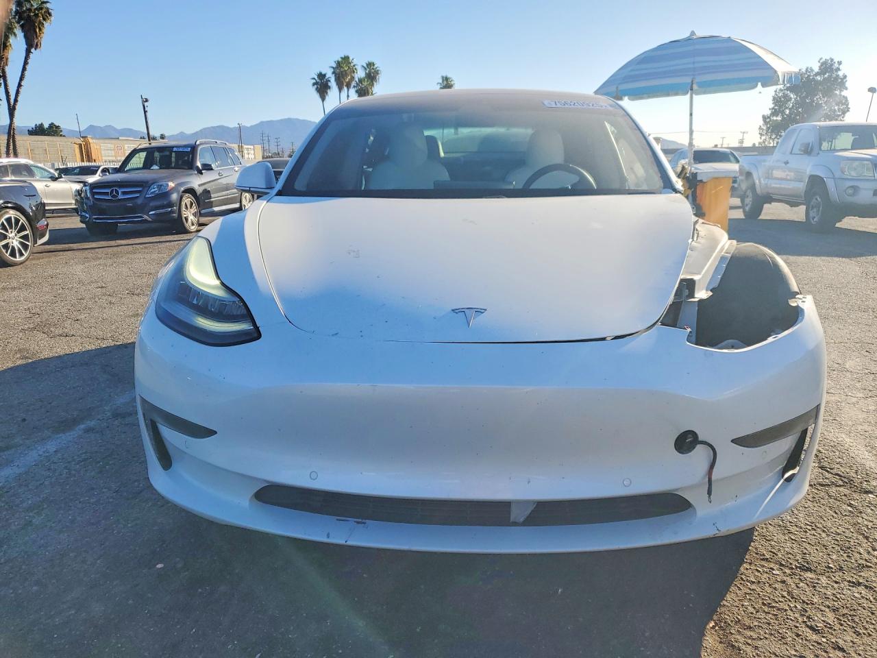 2019 TESLA MODEL 3 photo 13