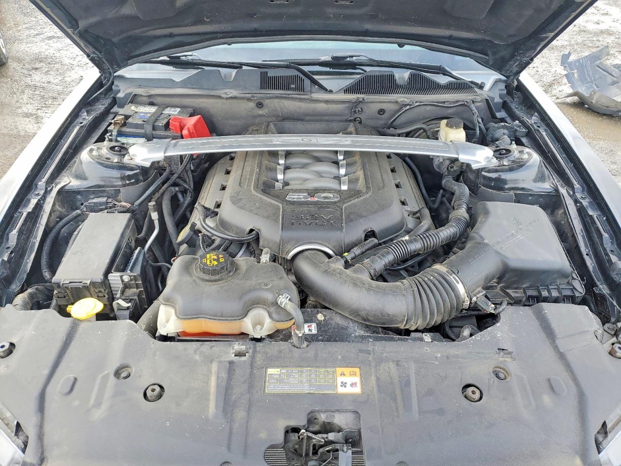 2014 FORD MUSTANG GT photo 21