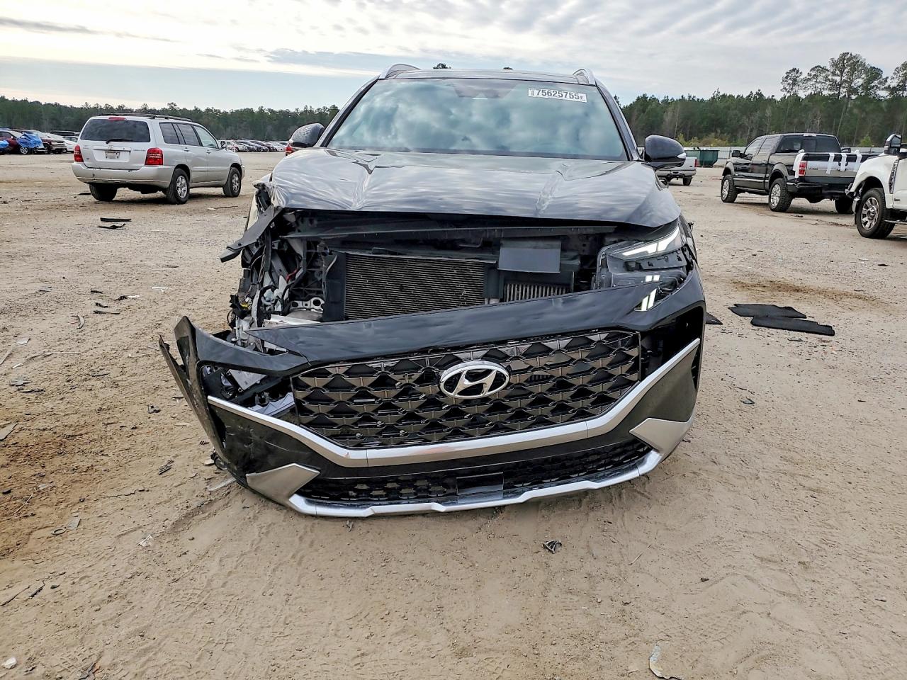 2023 HYUNDAI SANTA FE CALLIGRAPHY photo 5