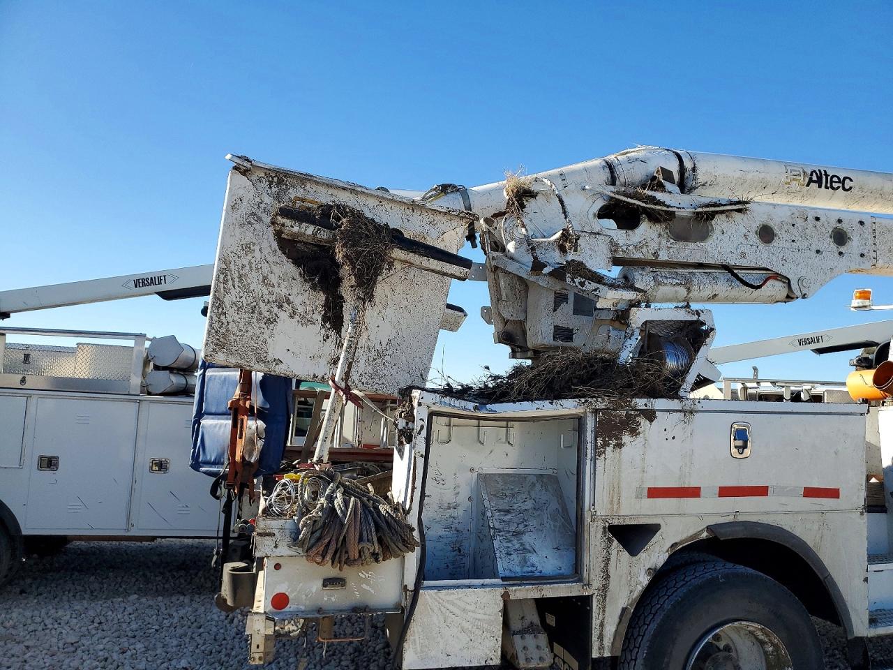 2019 FREIGHTLINER M2 106 MED photo 9
