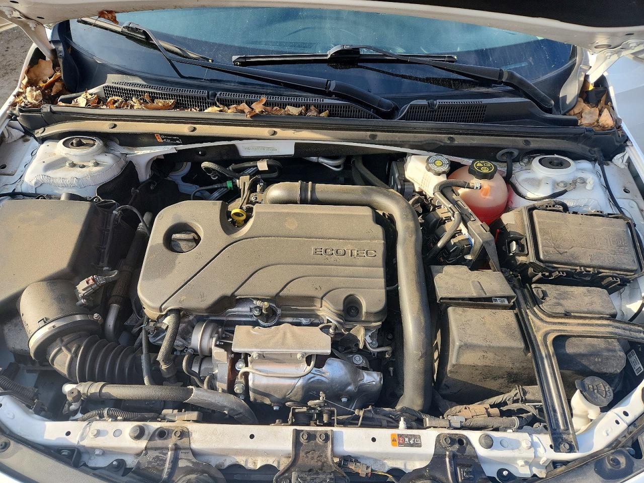 2023 CHEVROLET MALIBU LS photo 31