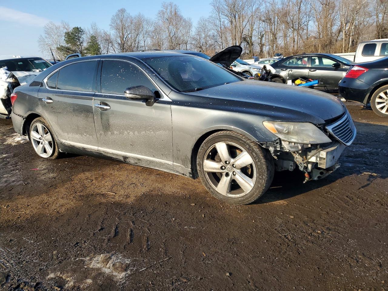 2010 LEXUS LS 460L photo 4