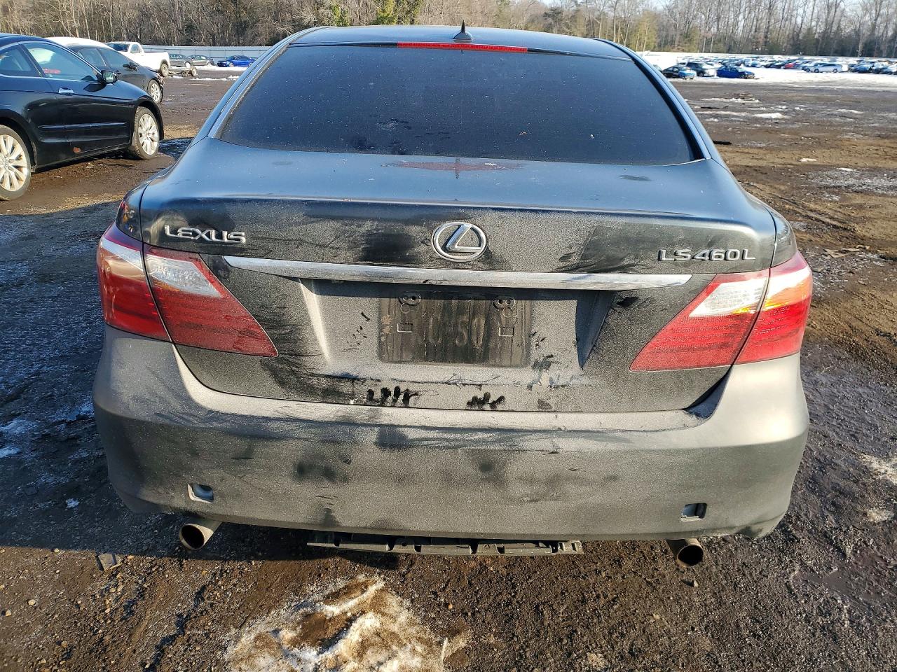 2010 LEXUS LS 460L photo 6