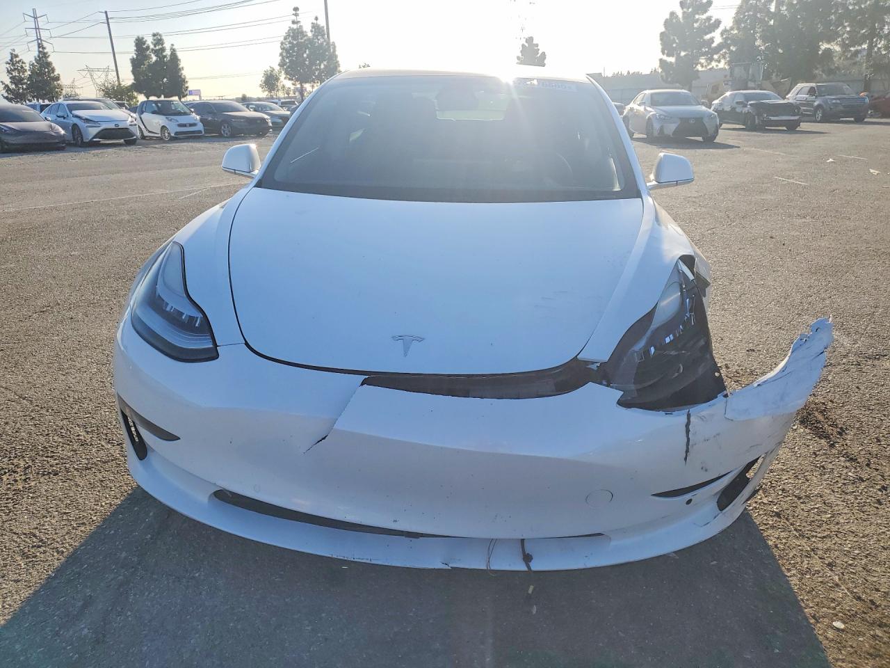 2020 TESLA MODEL 3 photo 5