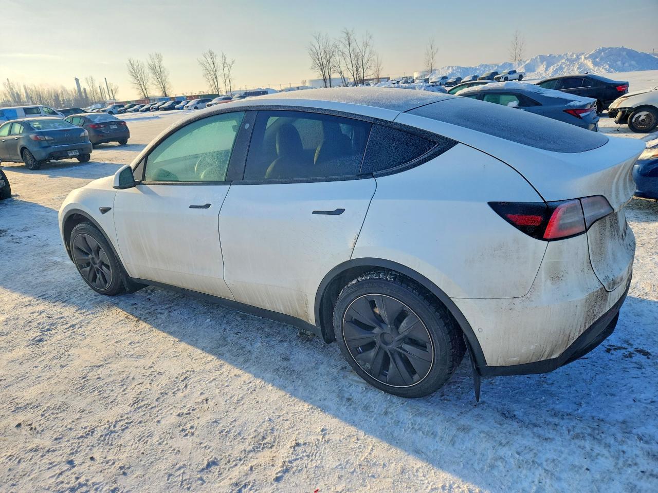 2021 TESLA MODEL Y photo 3