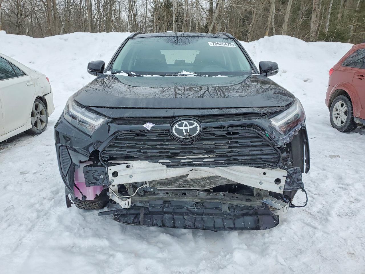 2025 TOYOTA RAV4 XLE photo 5