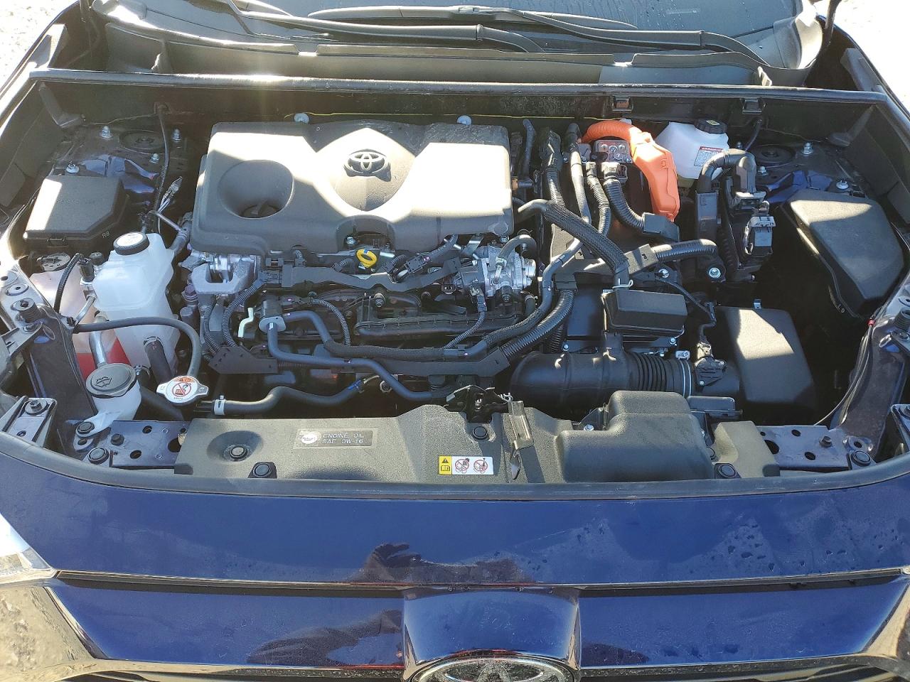 2025 TOYOTA RAV4 XLE photo 12