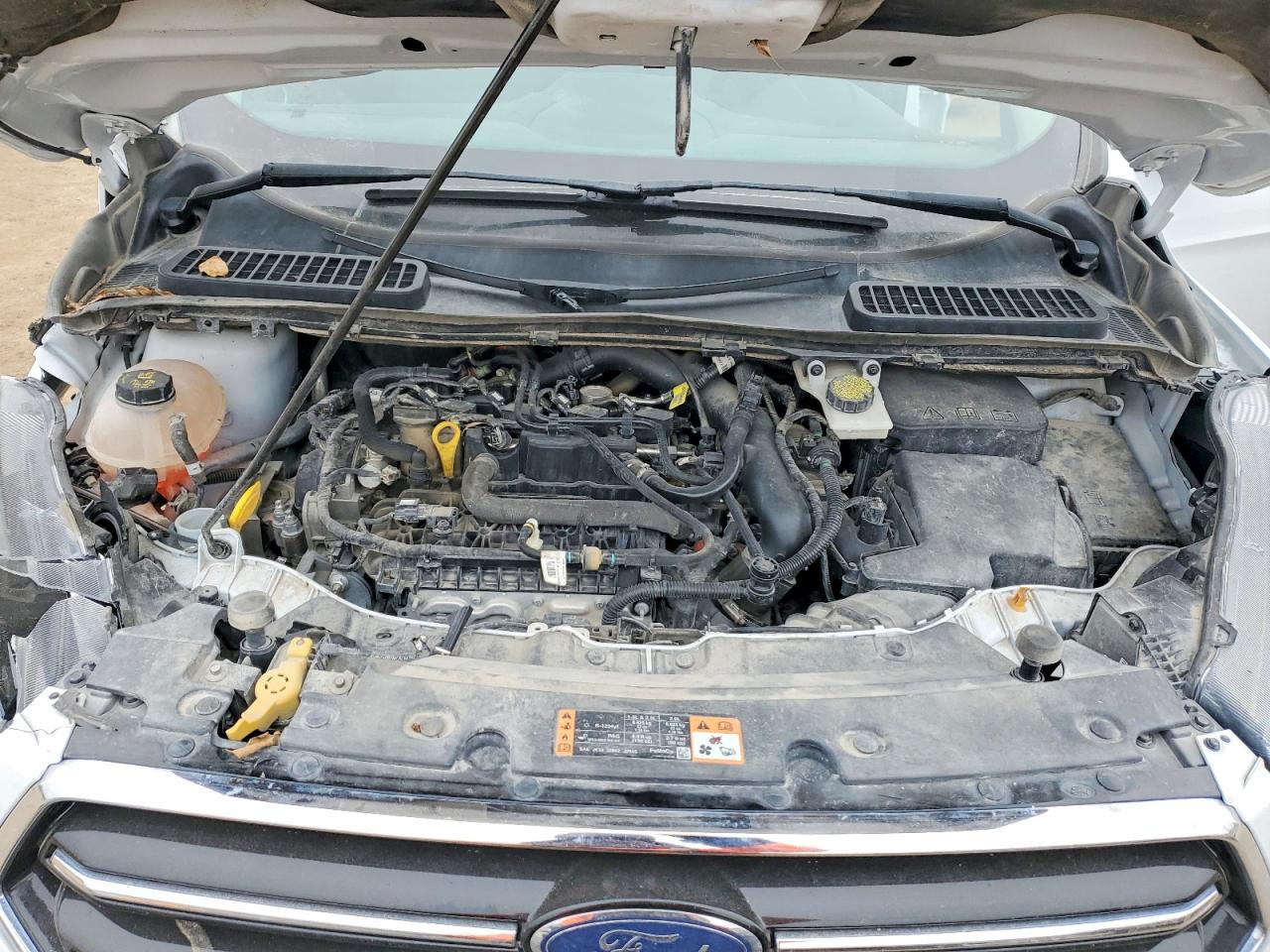2019 FORD ESCAPE SE photo 23