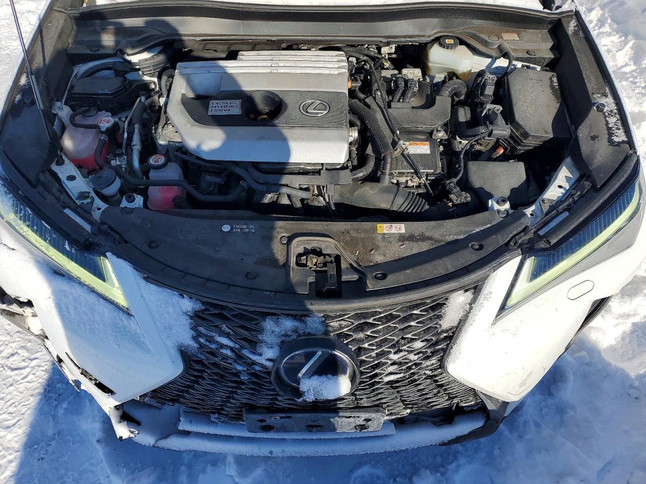2020 LEXUS UX 250H photo 11