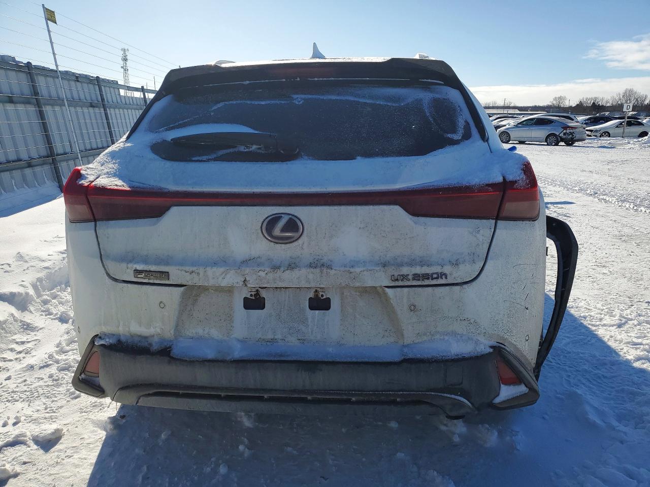 2020 LEXUS UX 250H photo 6