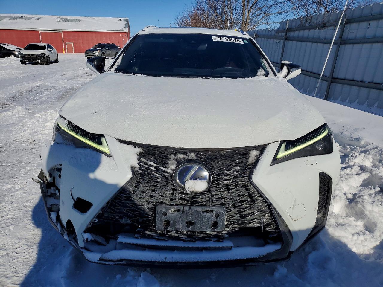 2020 LEXUS UX 250H photo 5