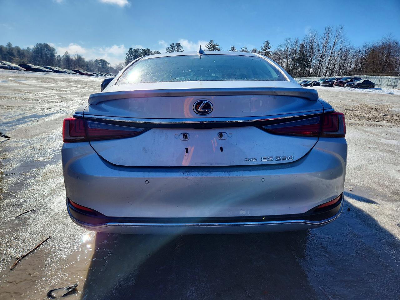 2021 LEXUS ES 250 BASE photo 6