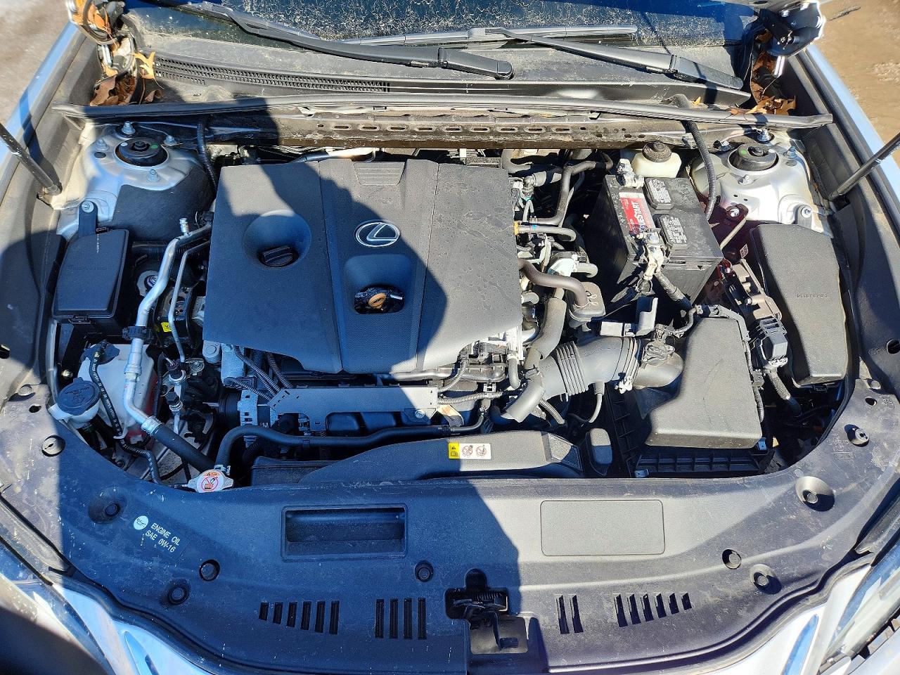 2021 LEXUS ES 250 BASE photo 11