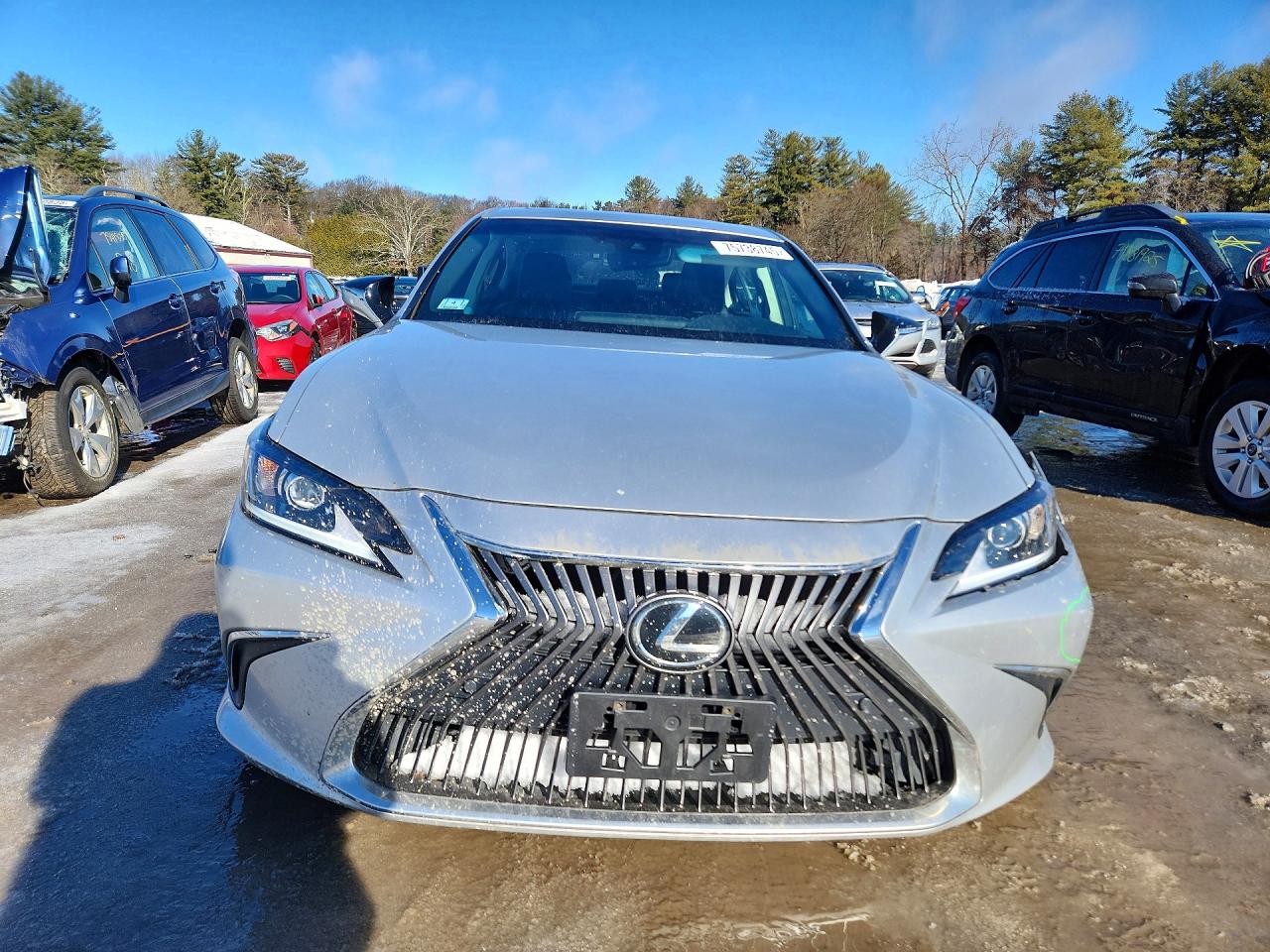 2021 LEXUS ES 250 BASE photo 5