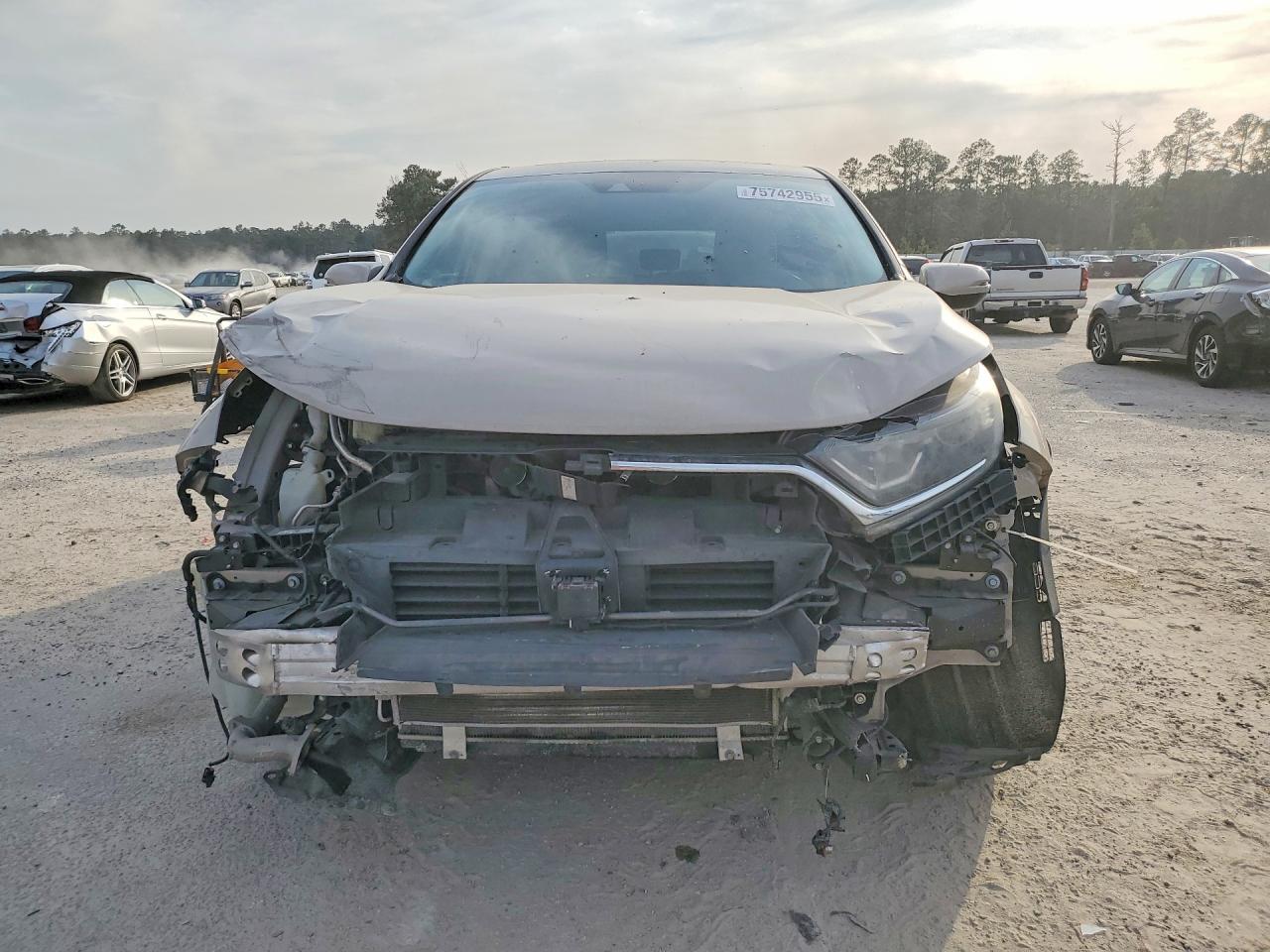 2019 HONDA CR-V EX photo 9