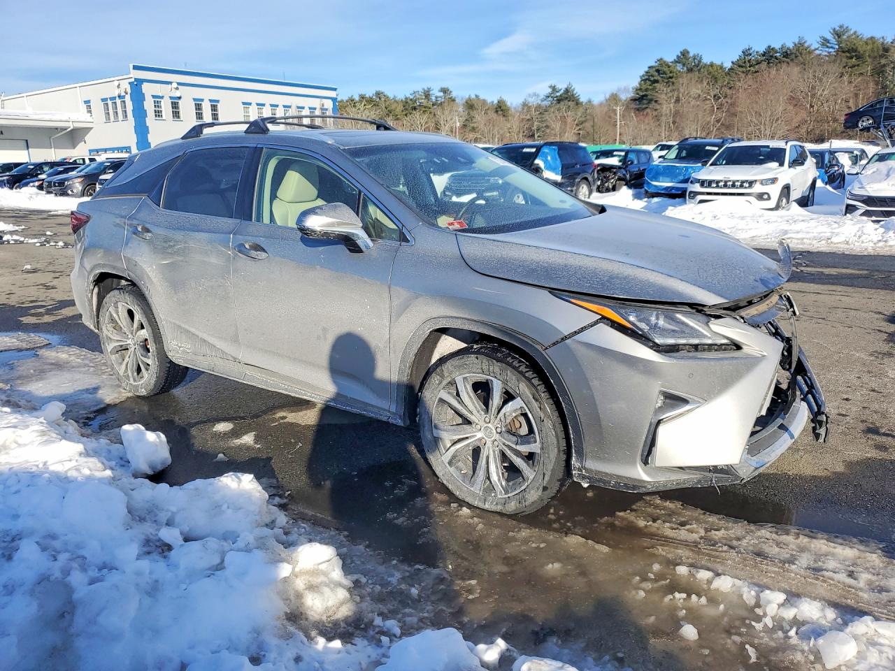 2019 LEXUS RX 450H BASE photo 4