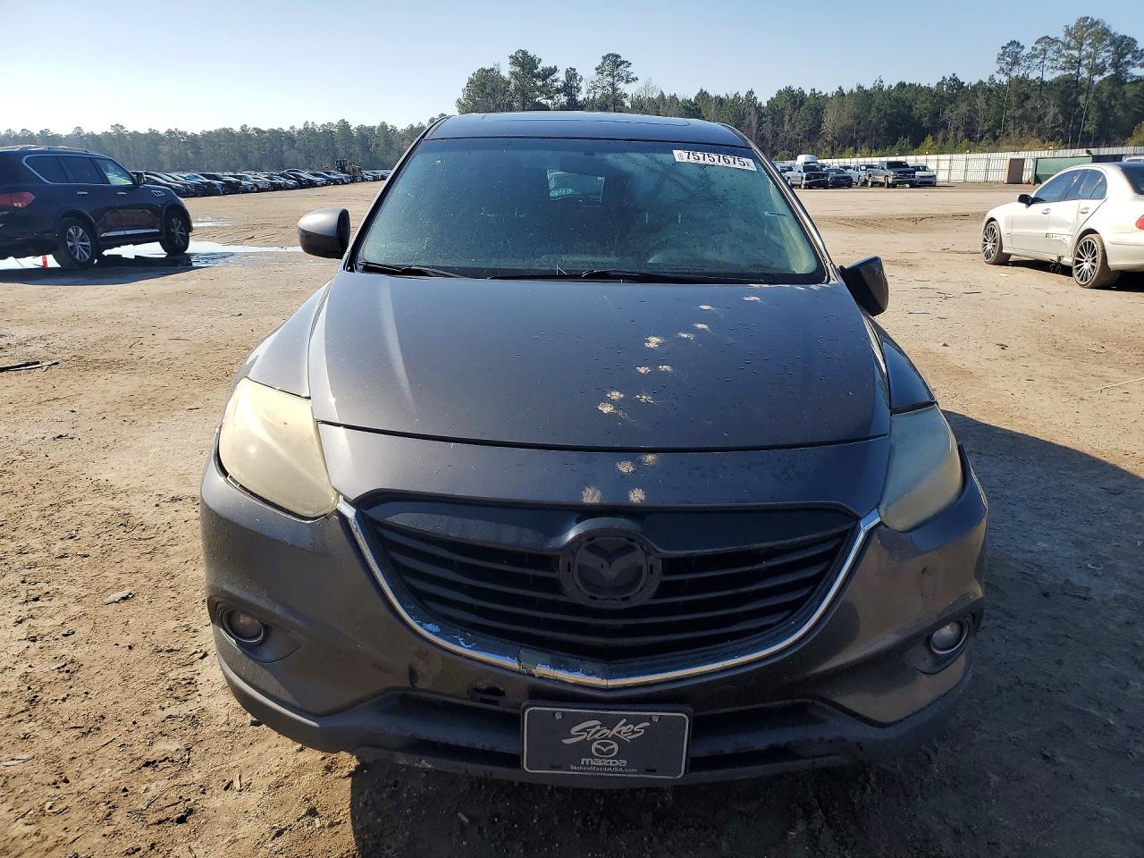2014 MAZDA CX-9 TOURING photo 9