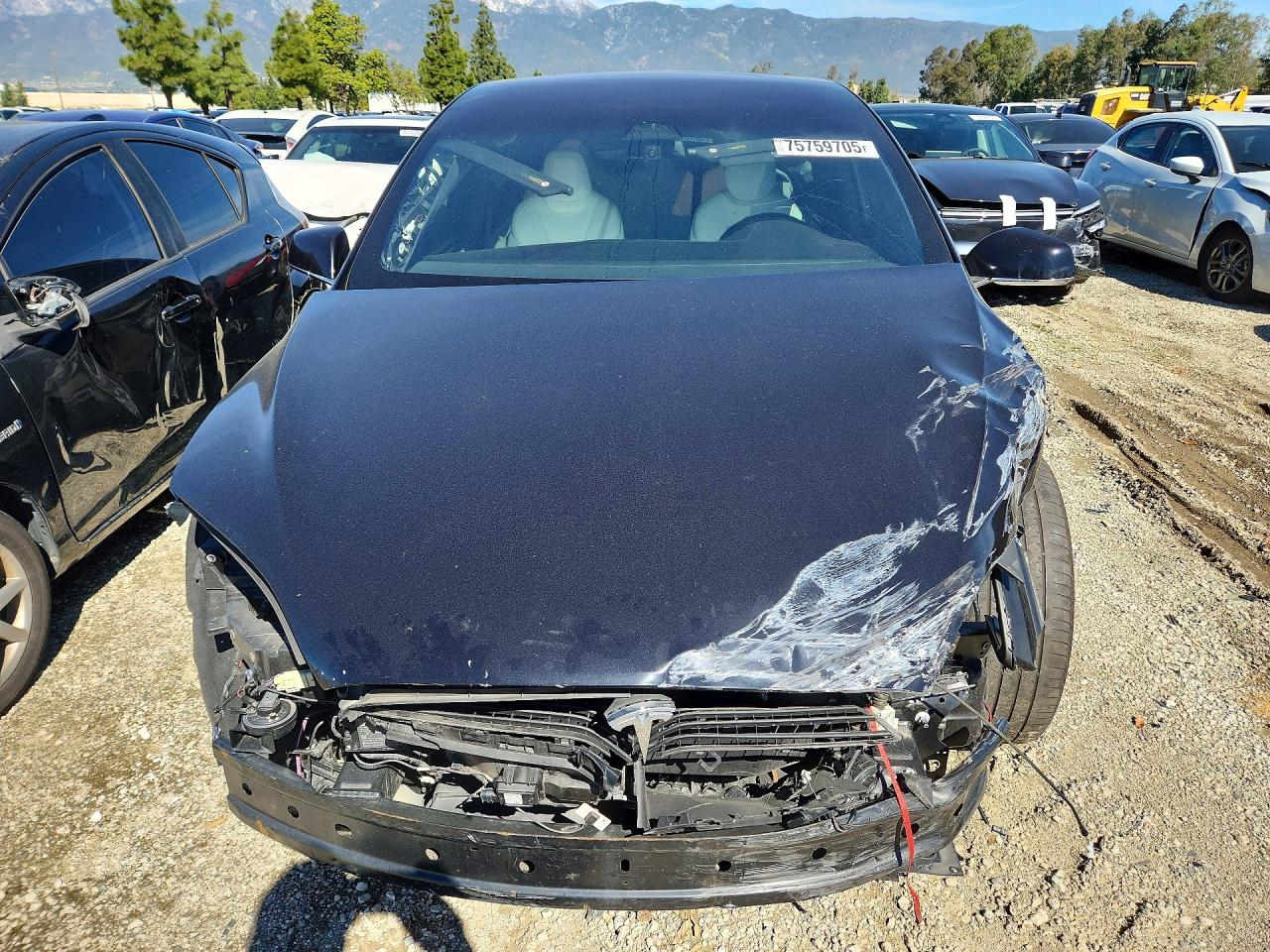 2018 TESLA MODEL X photo 13