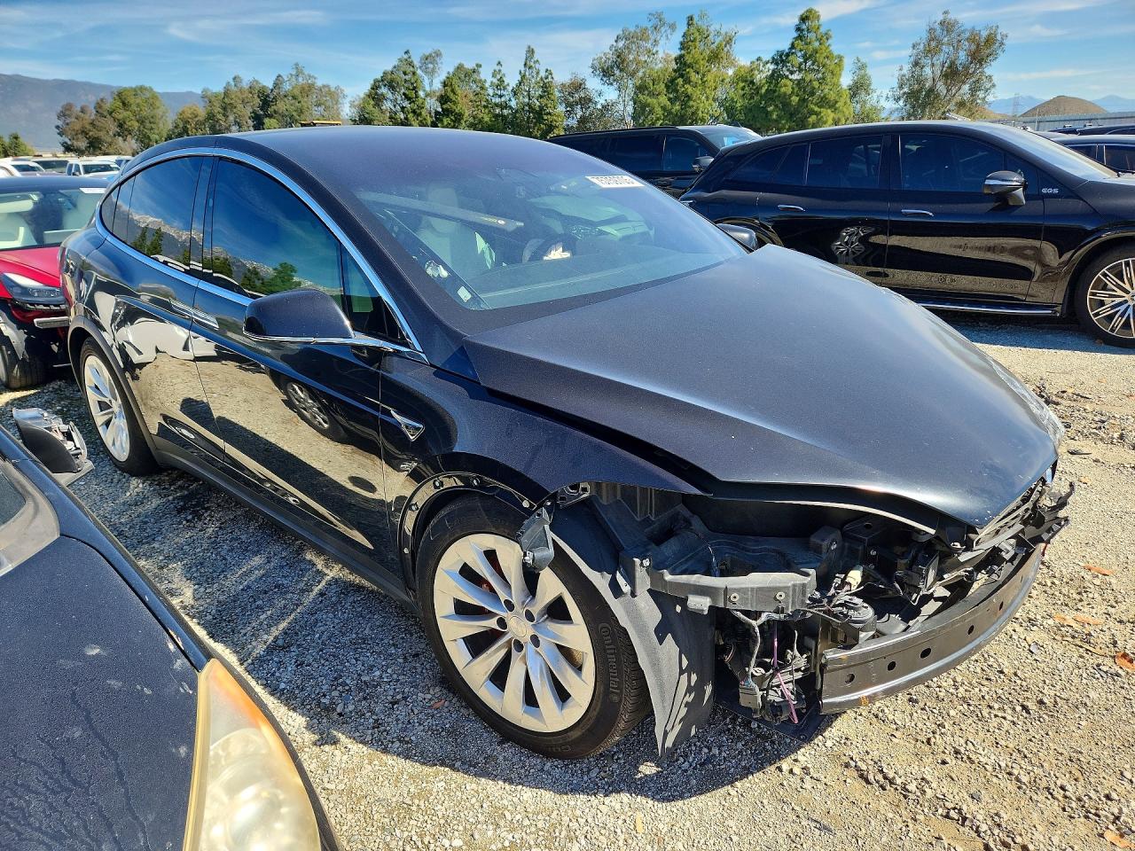 2018 TESLA MODEL X photo 10