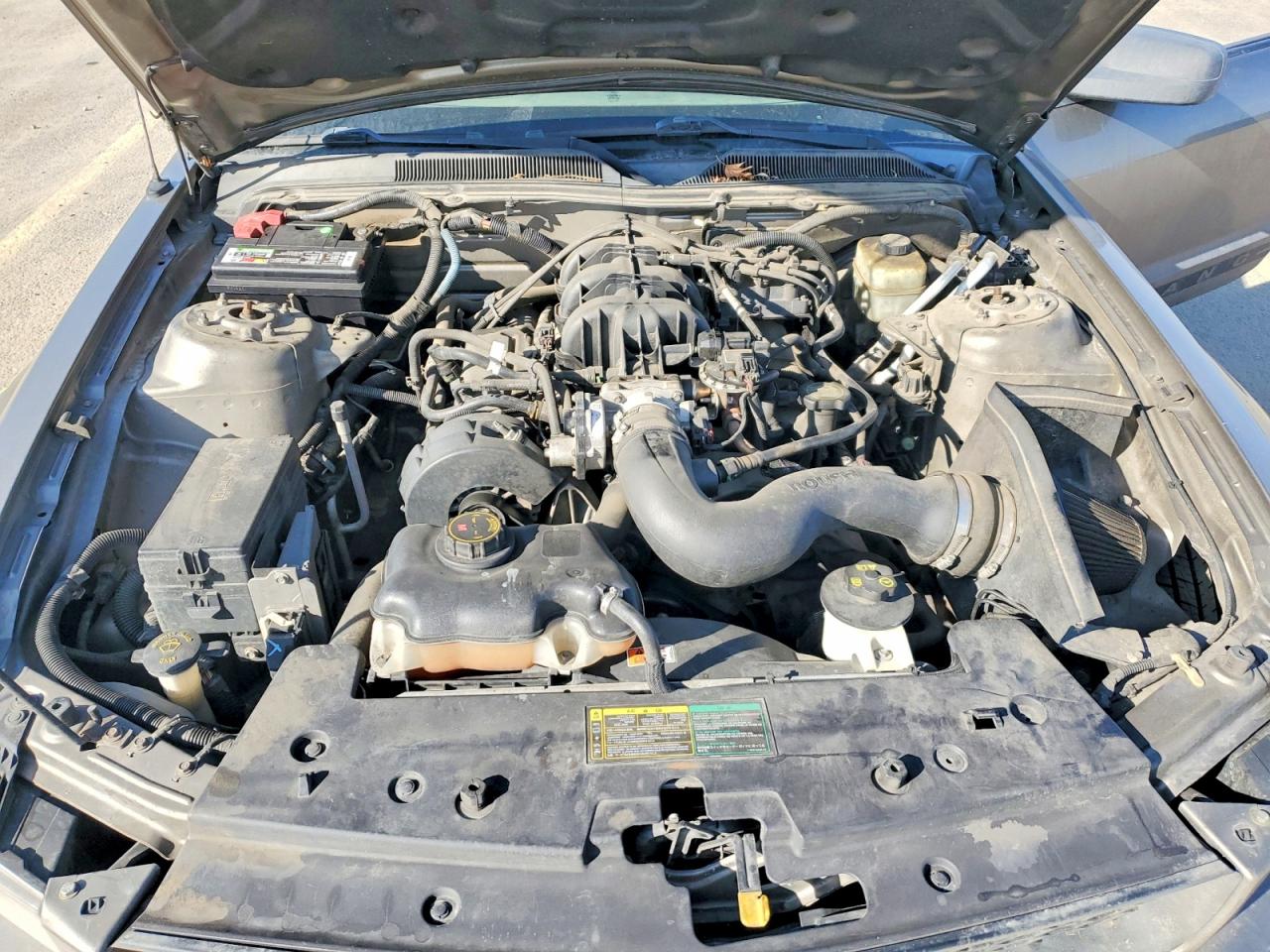 2005 FORD MUSTANG photo 11