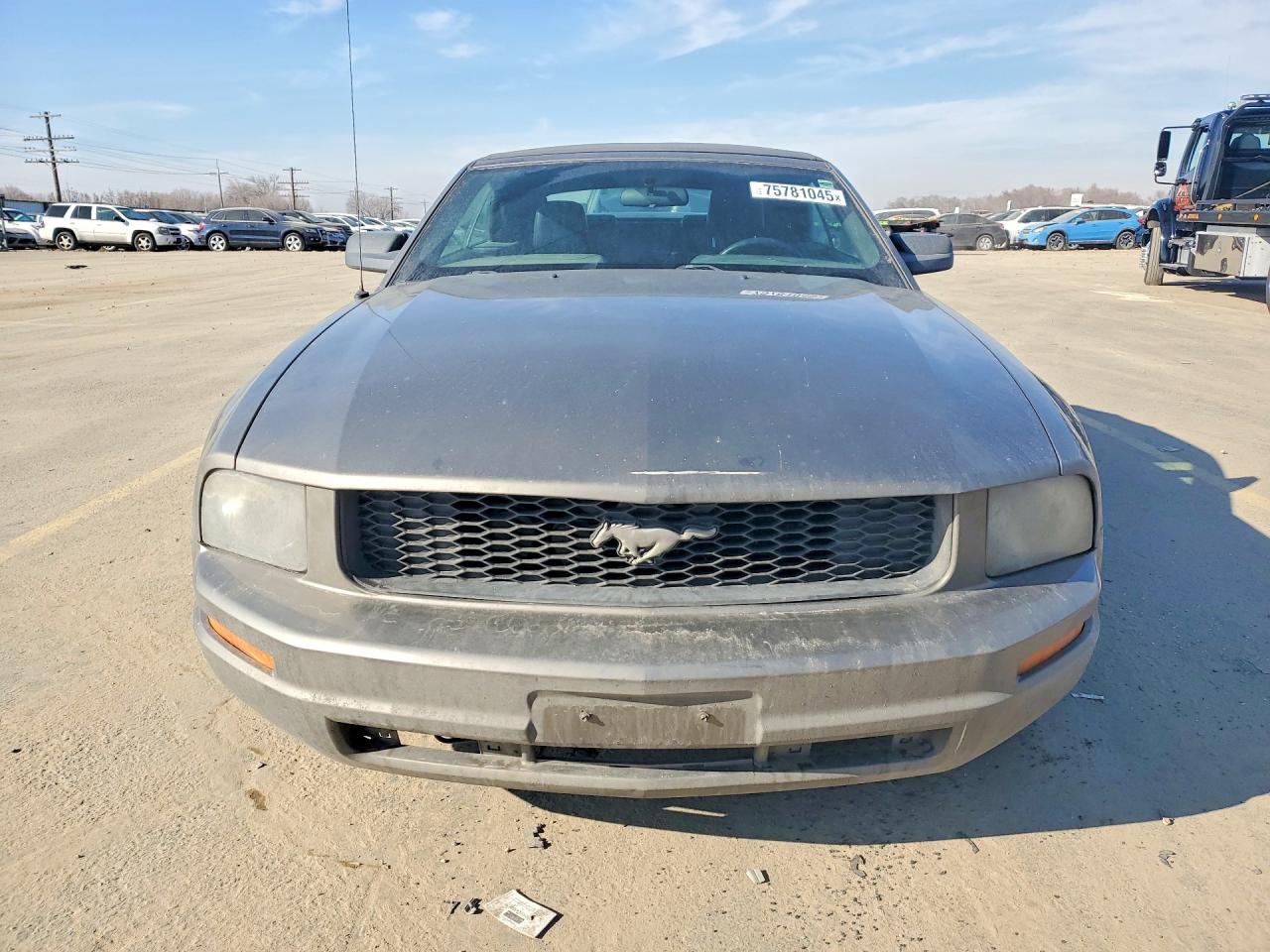 2005 FORD MUSTANG photo 5