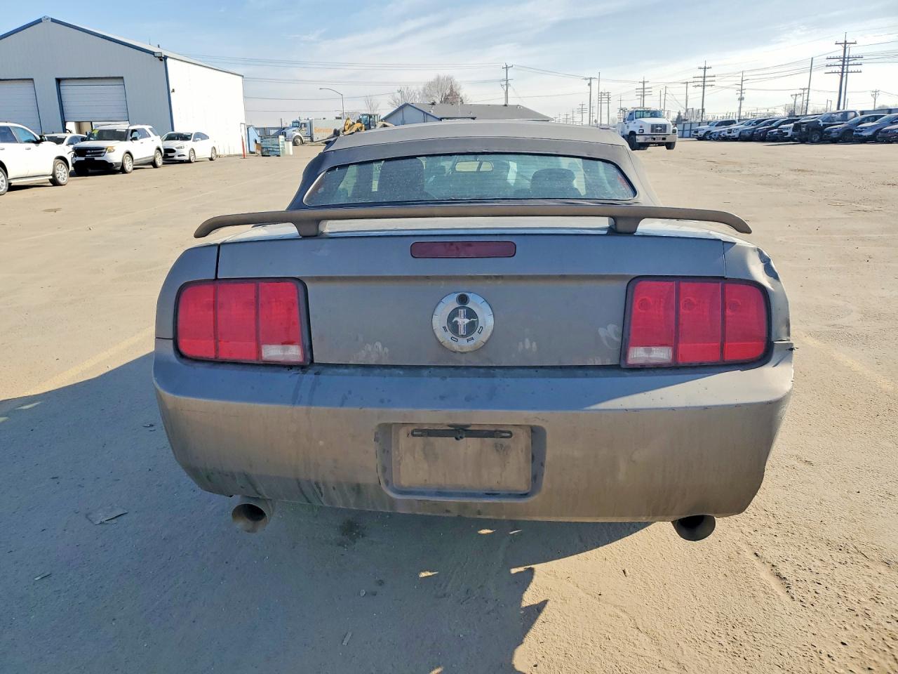 2005 FORD MUSTANG photo 6
