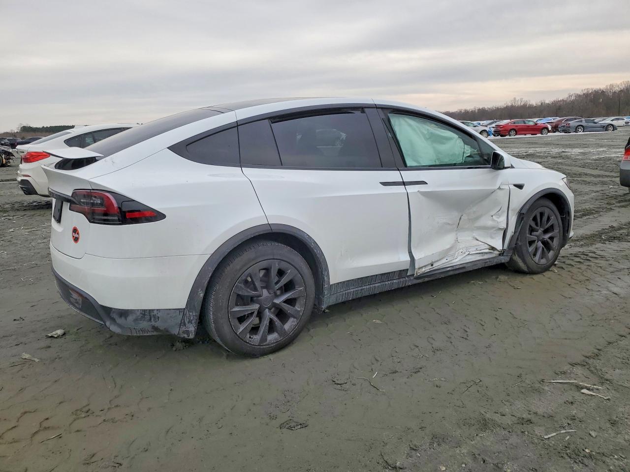 2023 TESLA MODEL X photo 5