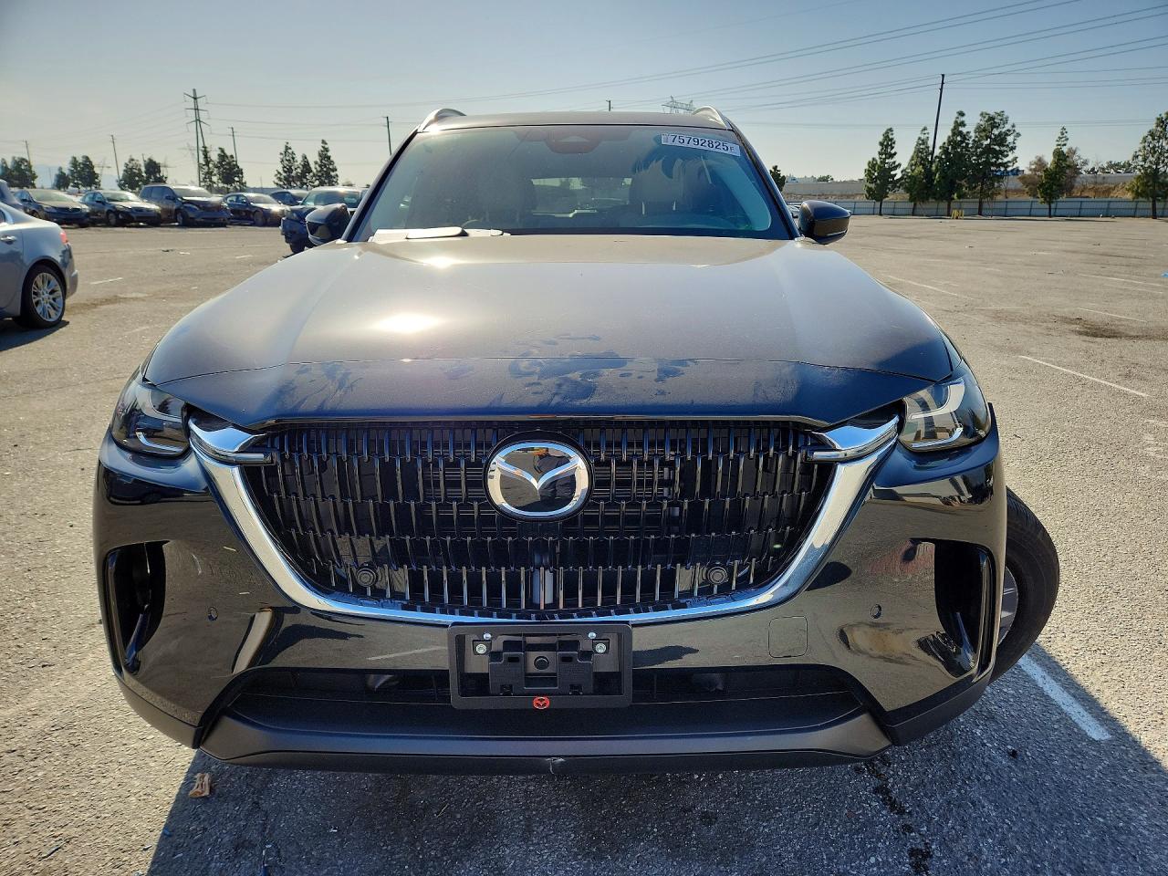2025 MAZDA CX-90 PREFERRED photo 9
