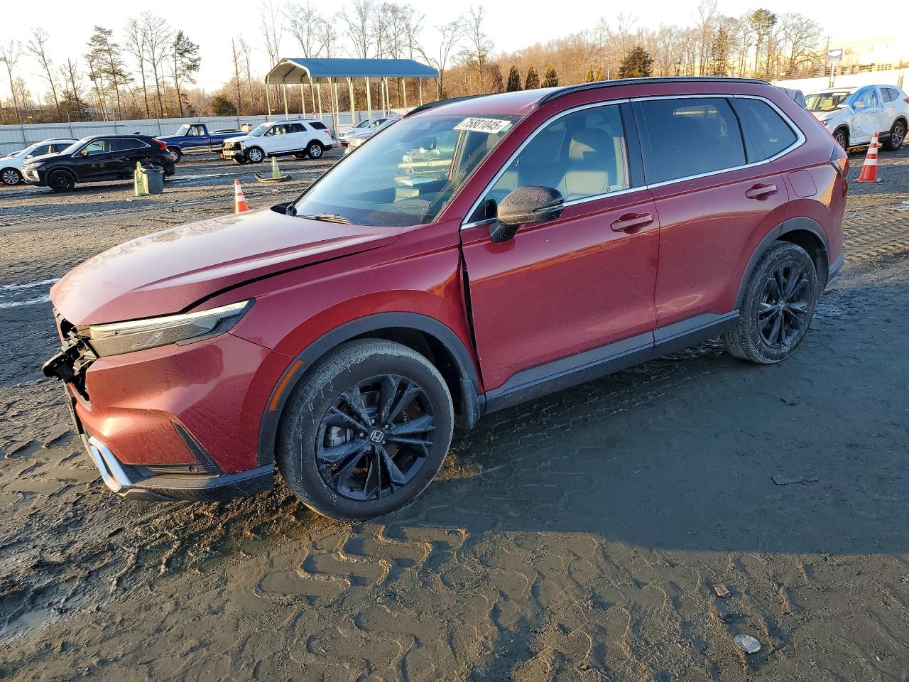 2025 HONDA CR-V