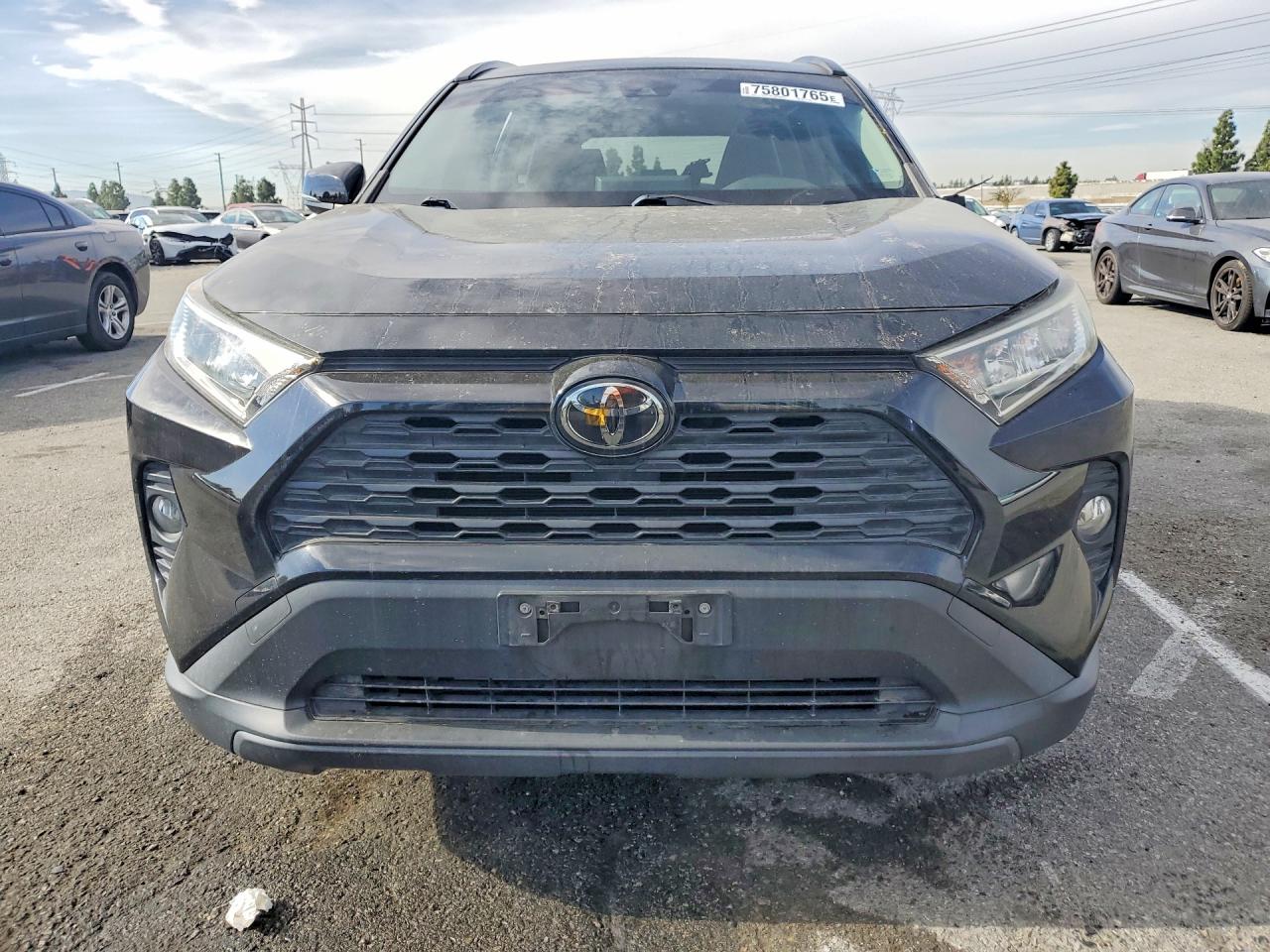 2019 TOYOTA RAV4 XLE photo 5