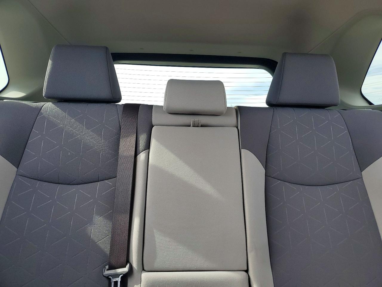 2019 TOYOTA RAV4 XLE photo 10
