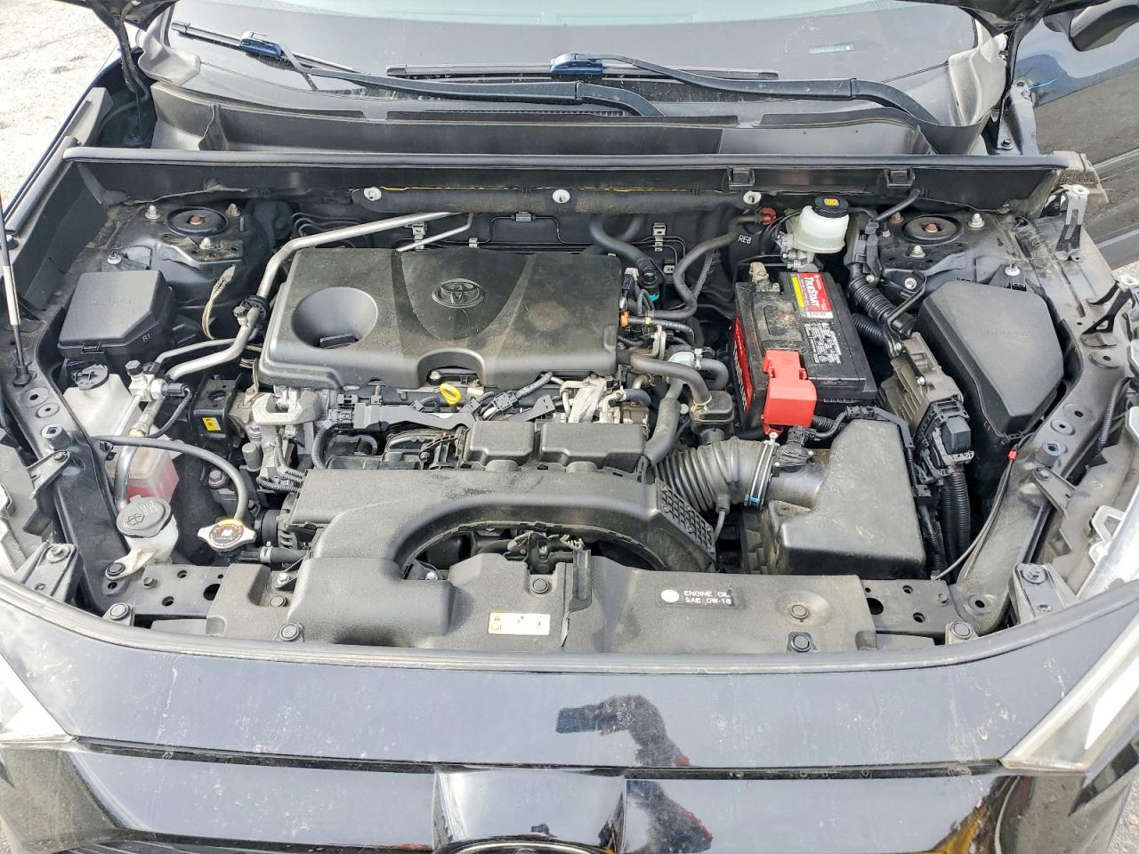 2019 TOYOTA RAV4 XLE photo 12