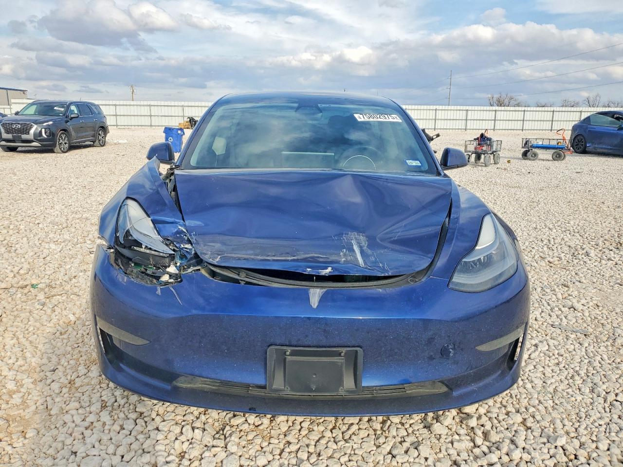 2021 TESLA MODEL 3 photo 11