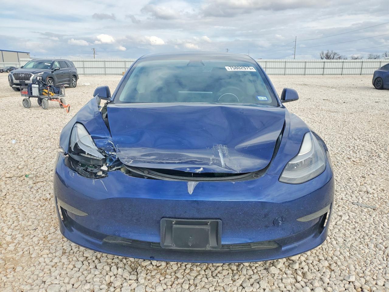 2021 TESLA MODEL 3 photo 5