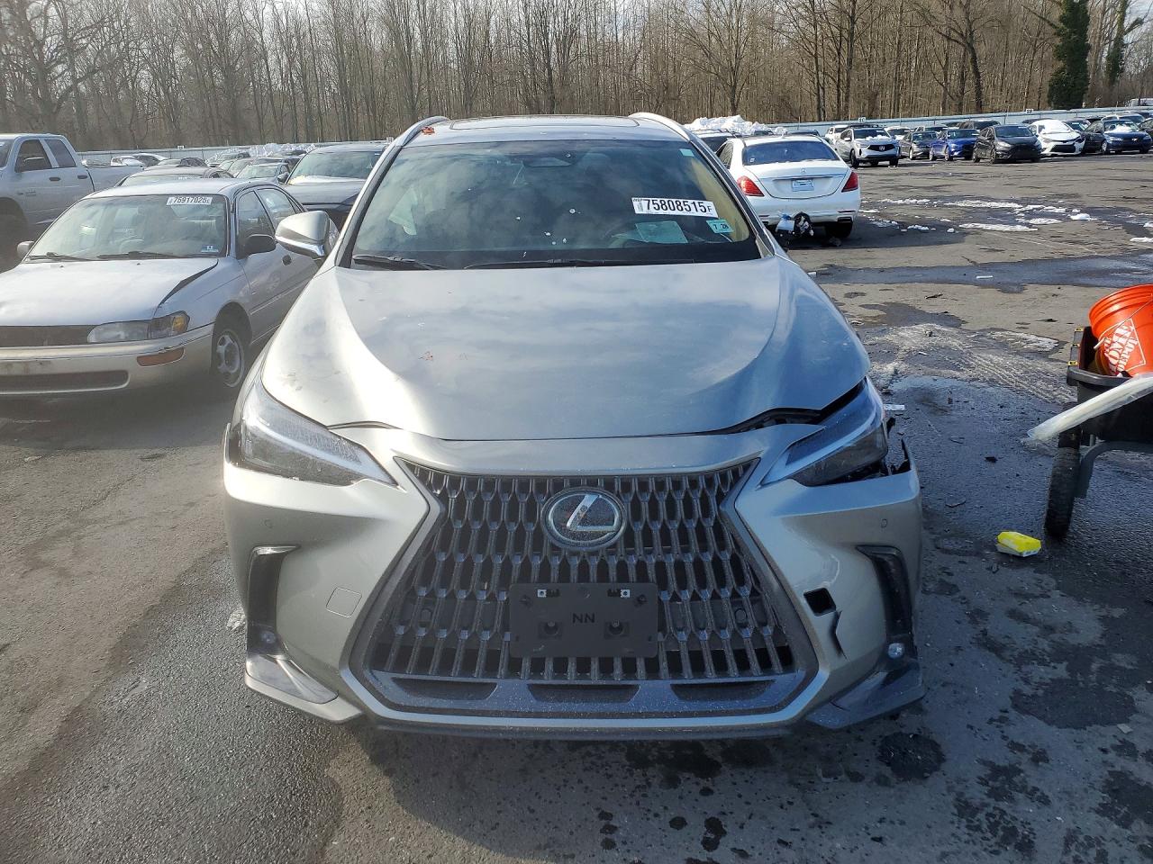 2024 LEXUS NX 350 PREMIUM photo 13