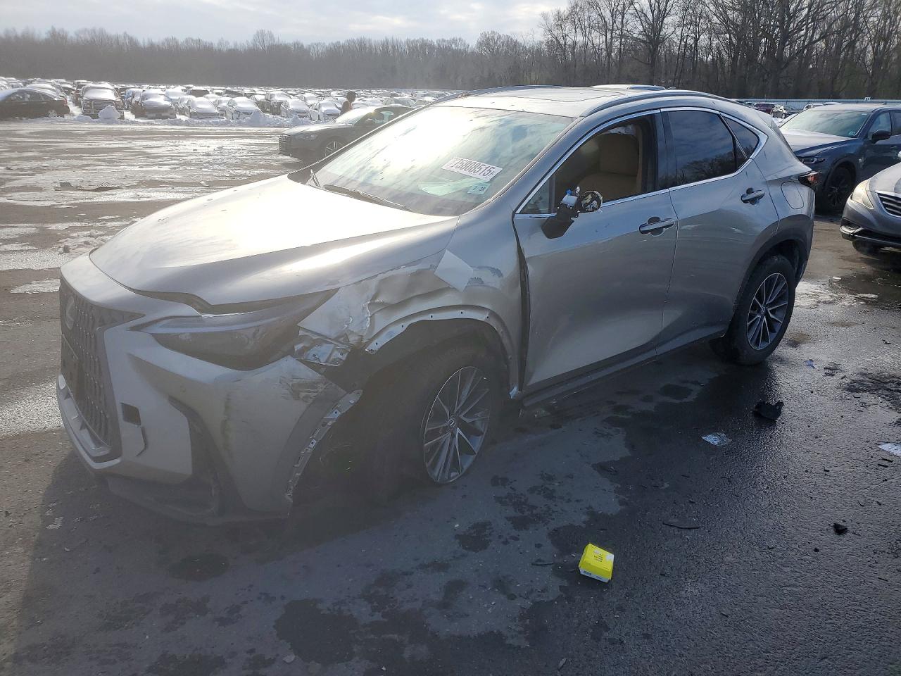 2024 LEXUS NX