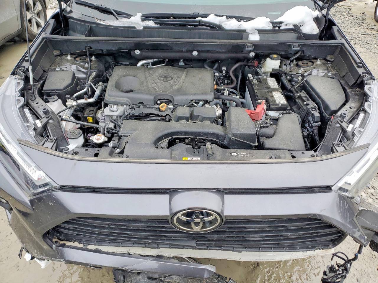 2024 TOYOTA RAV4 XLE PREMIUM photo 12