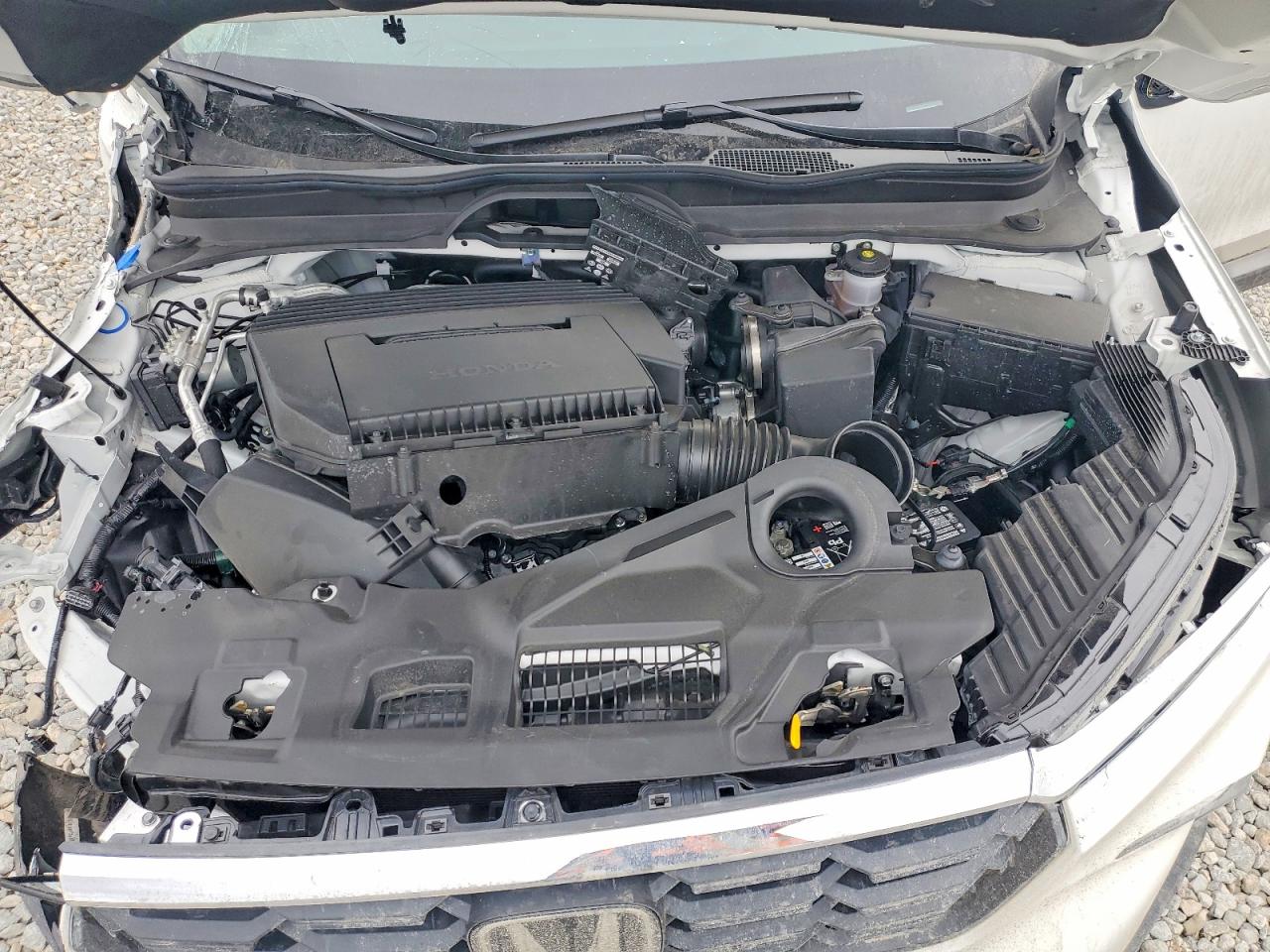 2025 HONDA PILOT EXL photo 12