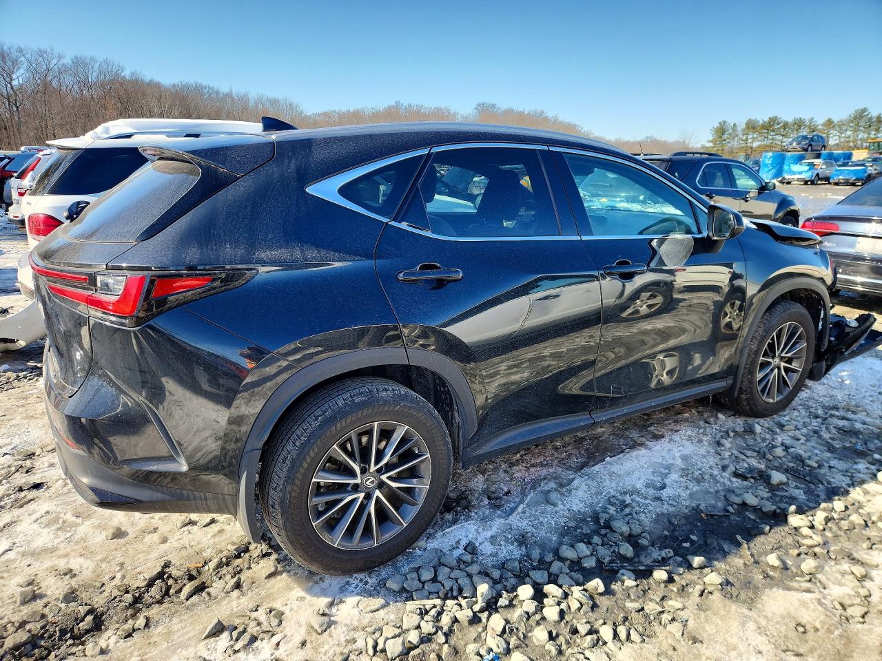 2022 LEXUS NX 350 photo 7