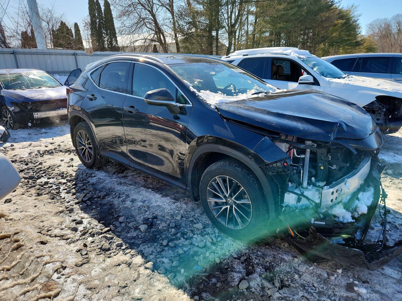 2022 LEXUS NX 350 photo 10