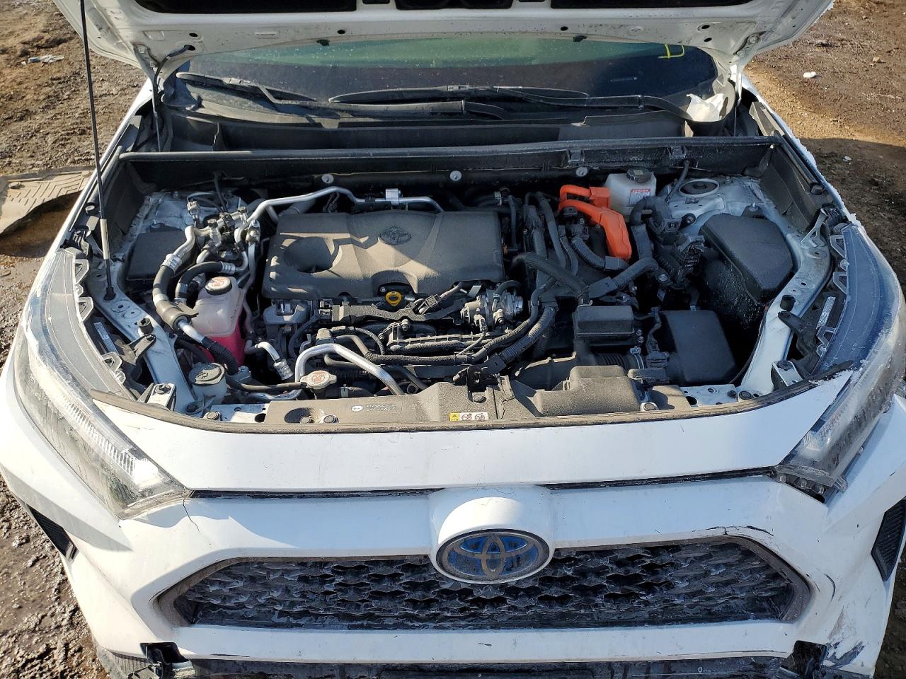2023 TOYOTA RAV4 PRIME SE photo 12