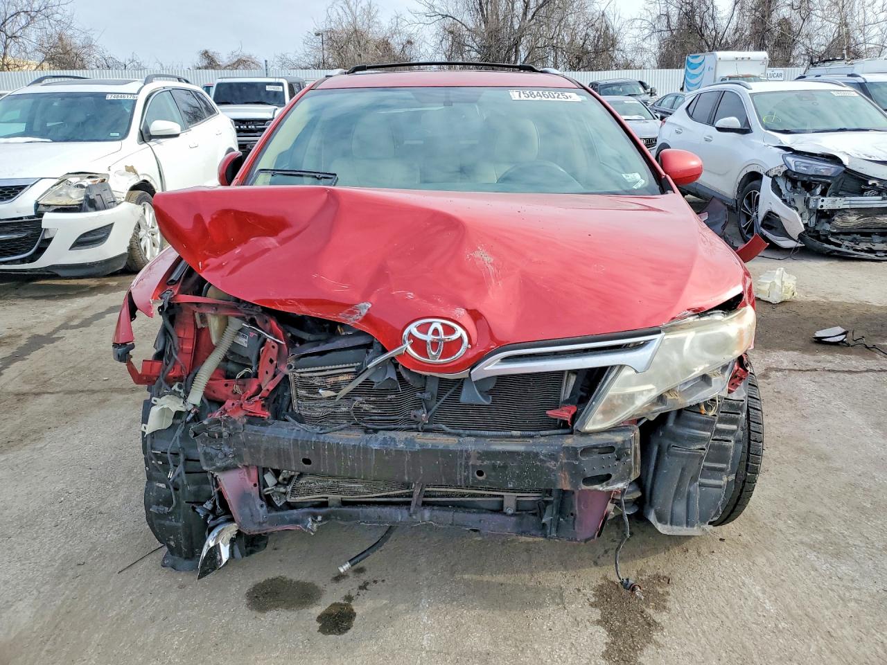 2009 TOYOTA VENZA photo 5