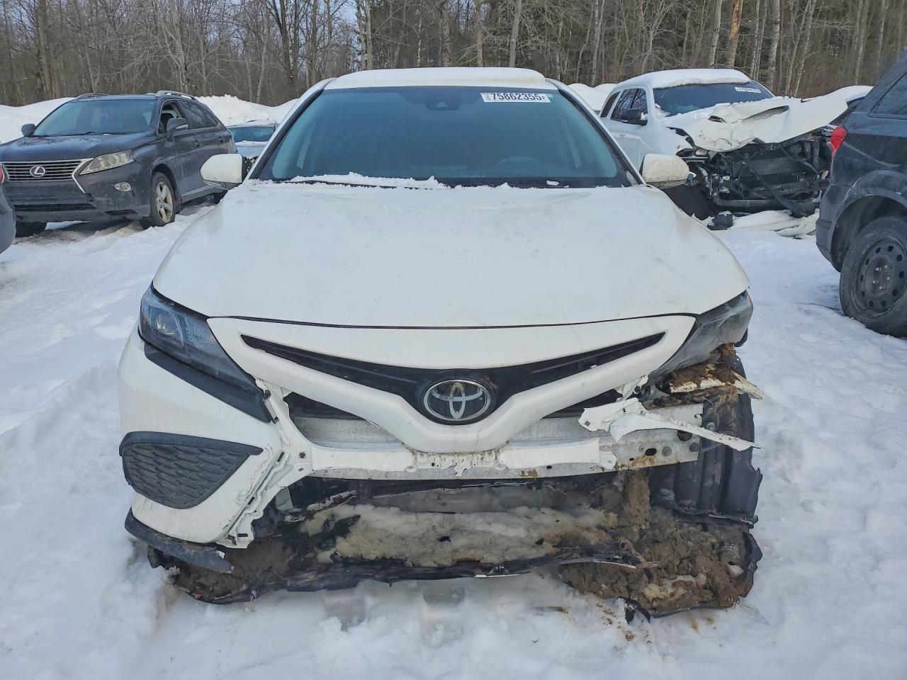 2024 TOYOTA CAMRY SE NIGHT SHADE photo 13