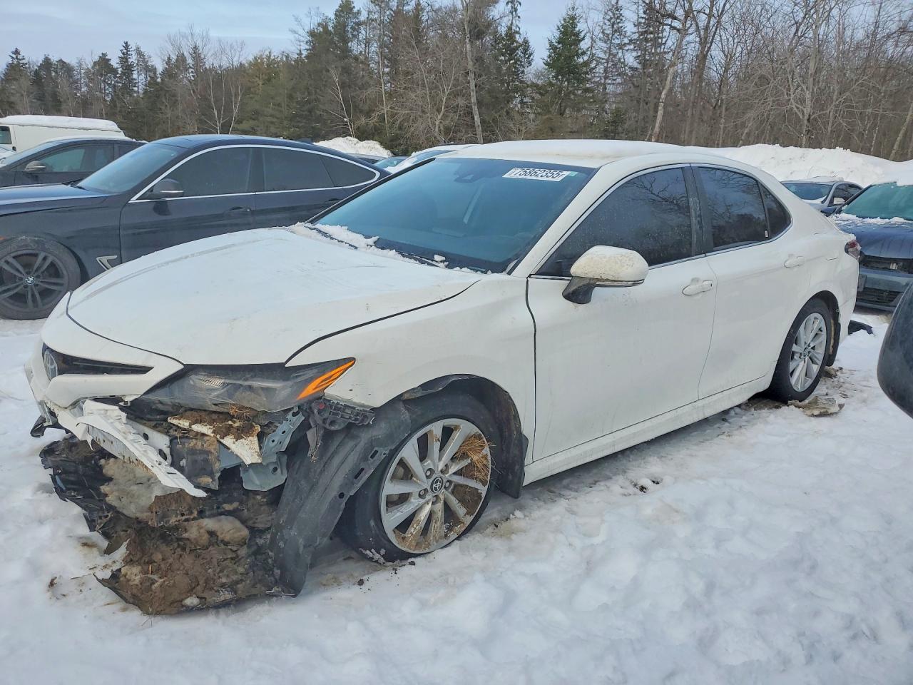 2024 TOYOTA CAMRY